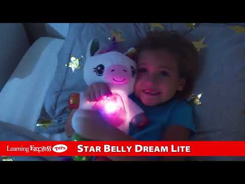 Star Belly Blue Shark