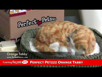 Mini Orange Tabby
