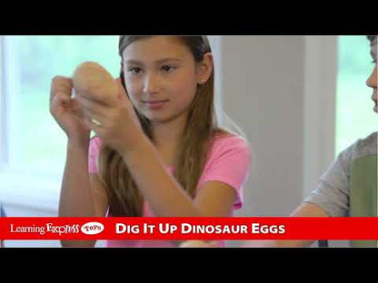 Dig IT Up! Dinosaur Eggs