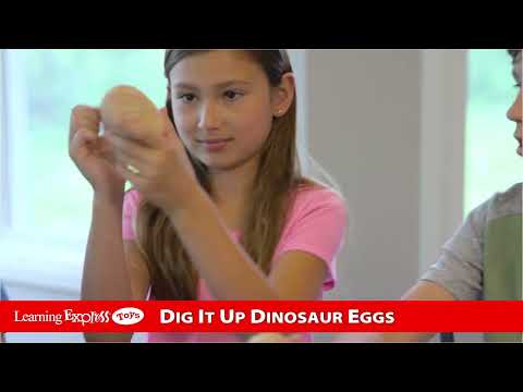 Dig IT Up! Dinosaur Eggs