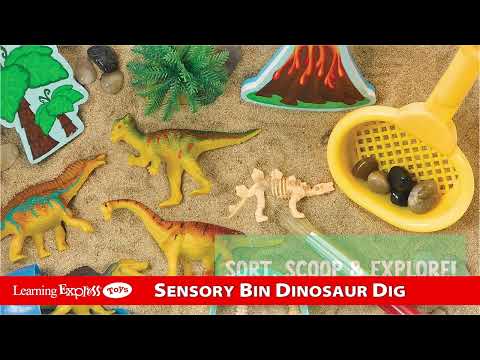 Dinosaur Dig