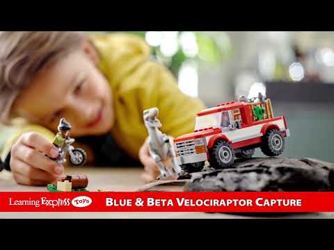 Blue & Beta Velociraptor