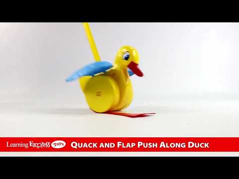 Quack and Flap