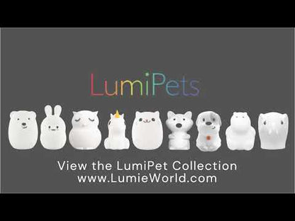 Lumipets® Bear with Remote - Children's Nursery Touch Night Light
