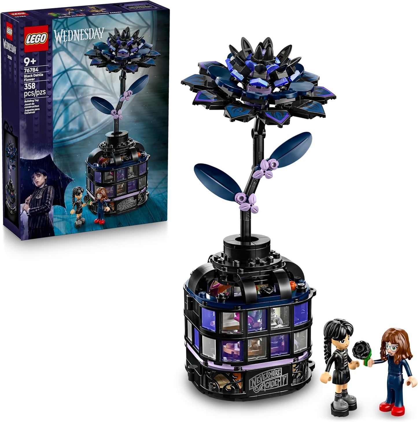 Black Dahlia