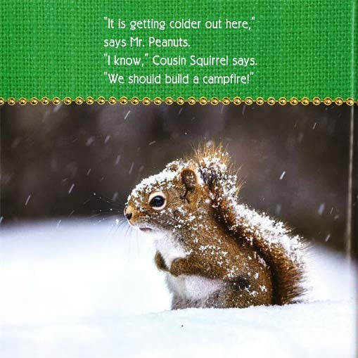 Merry Christmas, Squirrels!