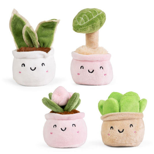 Cute Plants Little Greens
