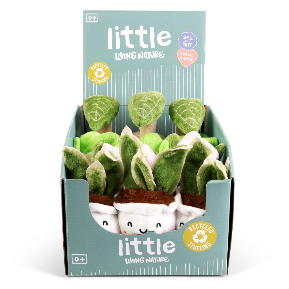 Cute Plants Little Greens