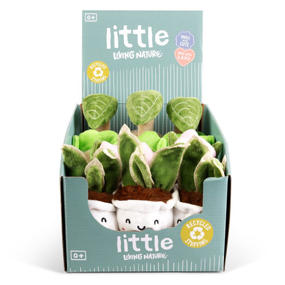 Cute Plants Little Greens