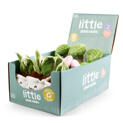 Cute Plants Little Greens