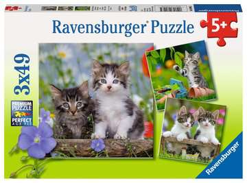 Cuddly Kittens 3 X 49