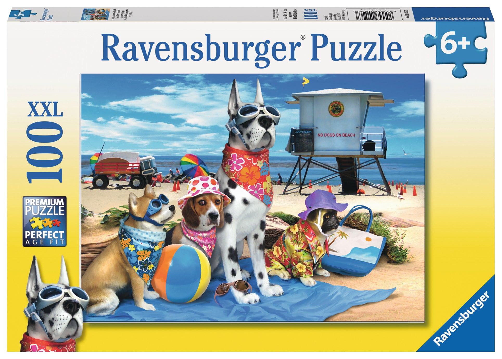 No Dogs on Beach 100 Pc