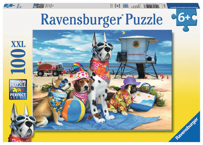 No Dogs on Beach 100 Pc