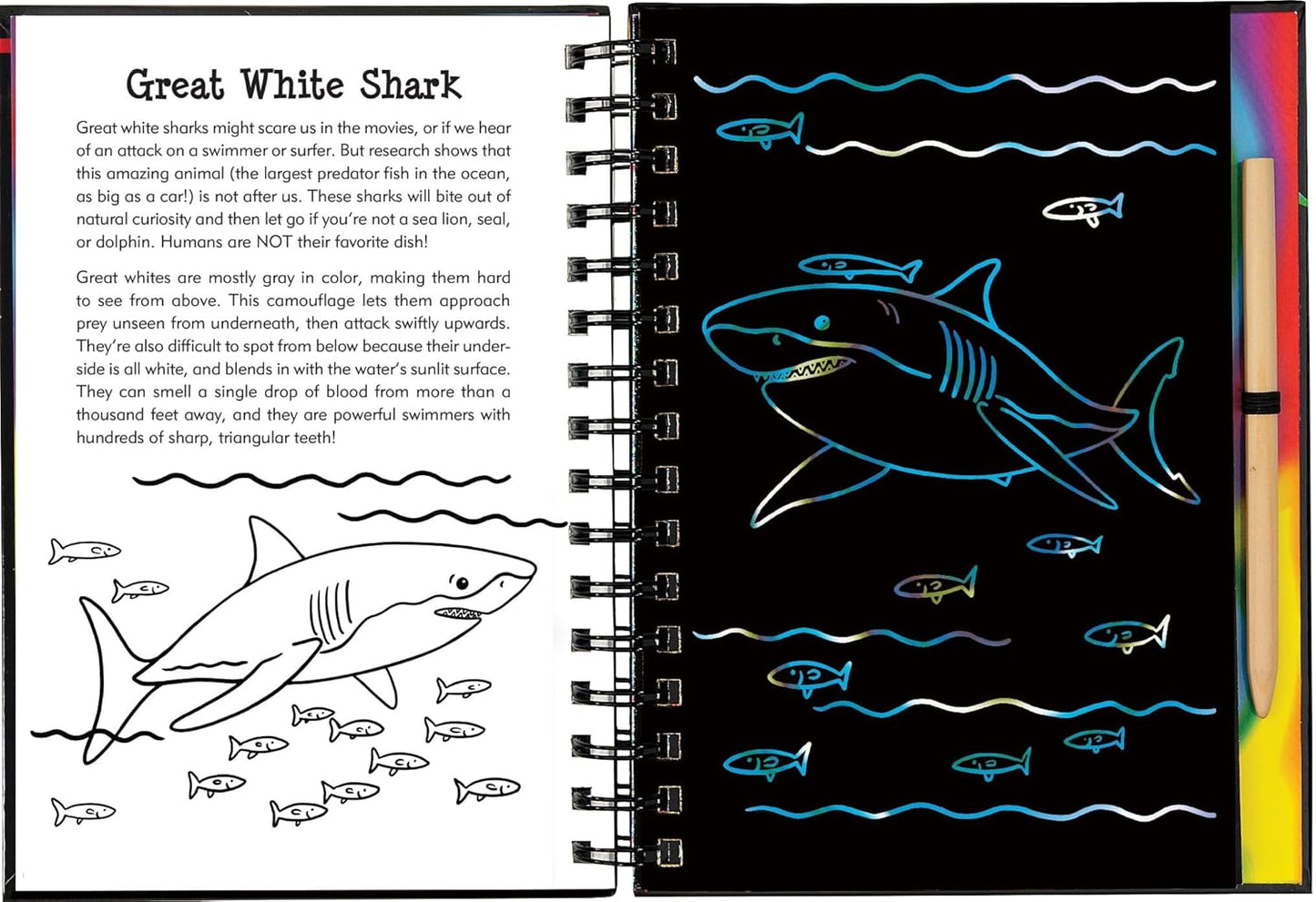 Scratch & Sketch Sharks