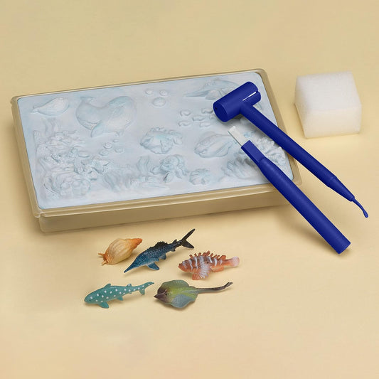 * Dig IT Sealife Ocean Li