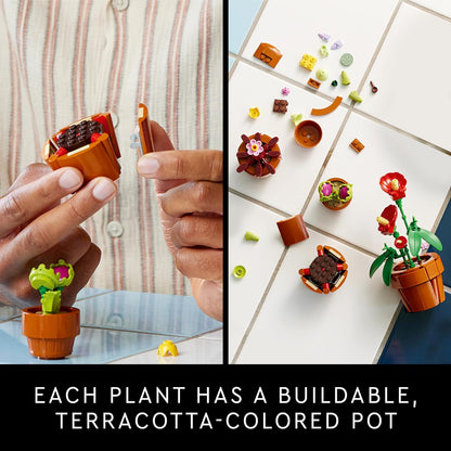 Tiny Plants 2024