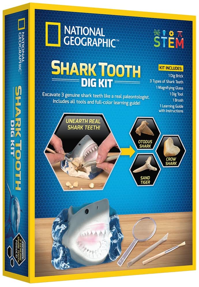 Ng Shark Tooth Dig Kit