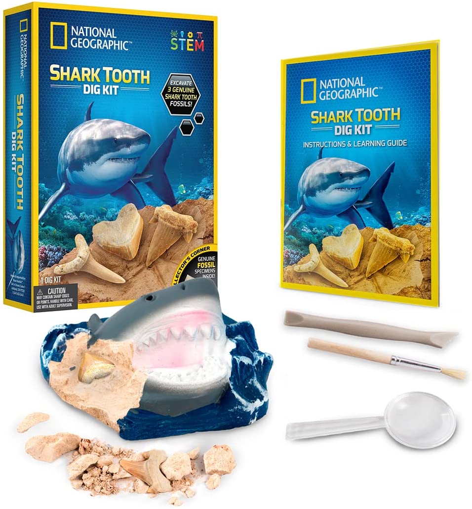 Ng Shark Tooth Dig Kit