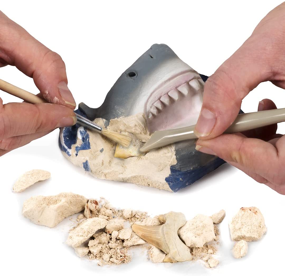 Ng Shark Tooth Dig Kit