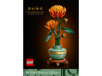 Chrysanthemum Botanical
