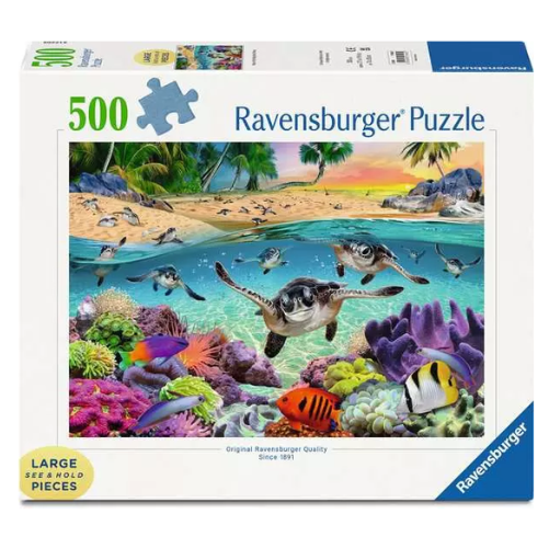 Race of Sea Turtles 500