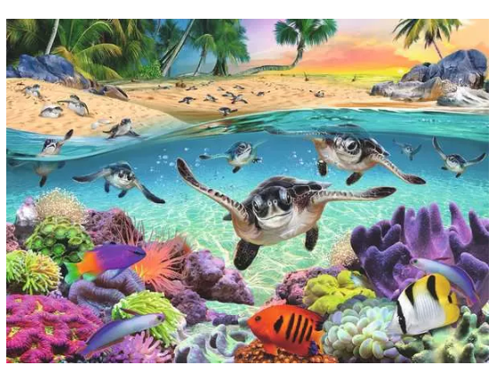 Race of Sea Turtles 500