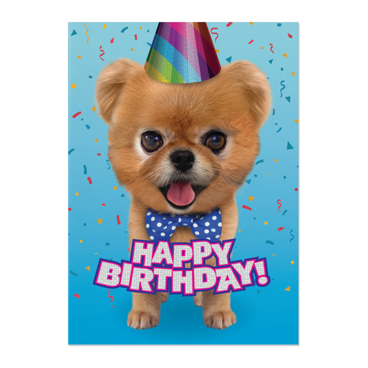 Teddy Bear Pomeranian Card