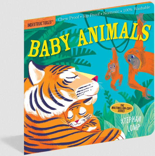 Baby Animals